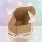 Mailer Box Kraft 6x6x4