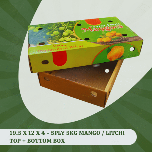 19.5 X 12 X 4 - 5PLY 5KG MANGO LITCHI TOP & BOTTOM BOX