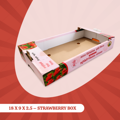 18 X 9 X 2.5 – Strawberry Box